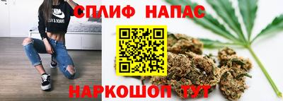PSILOCYBIN Моздок