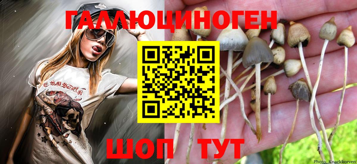 Гуково  как найти закладки  Вход с VPN  Галлюциногенные грибы Magic Shrooms 