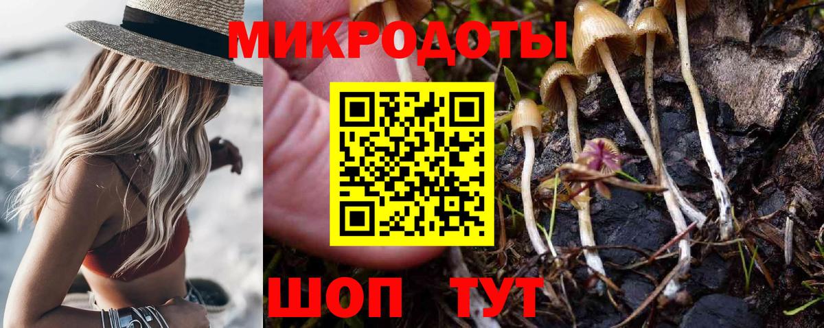 Псилоцибиновые грибы мицелий Гуково